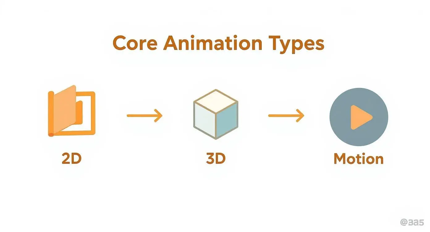 Infographic about video animation services