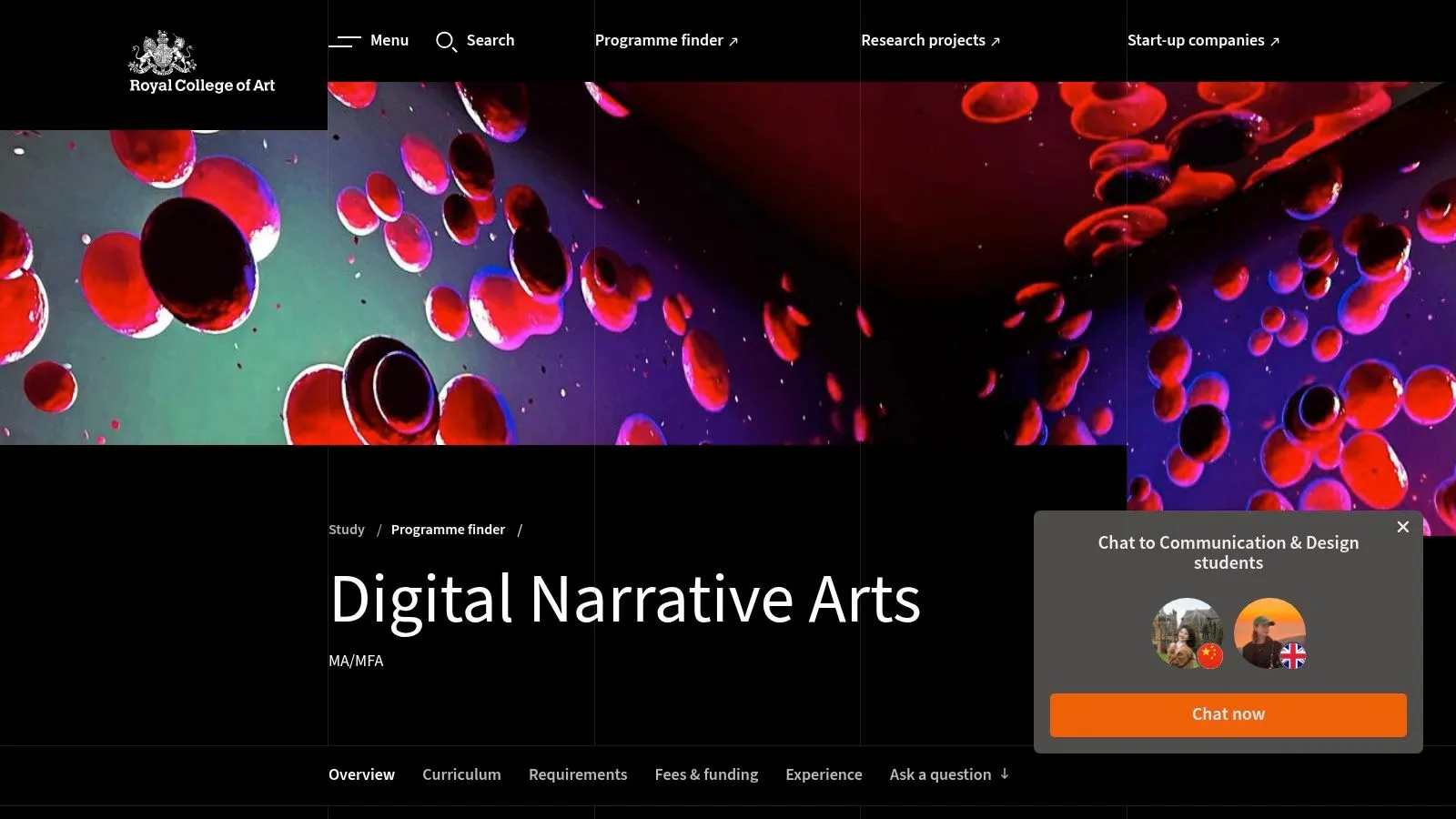 UAL Central Saint Martins Creative Direction Short Course